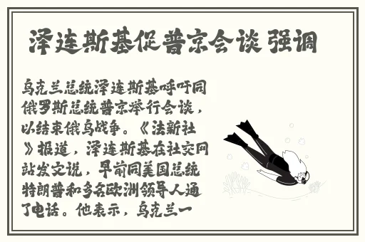 航海王罗宾和发琴乔巴